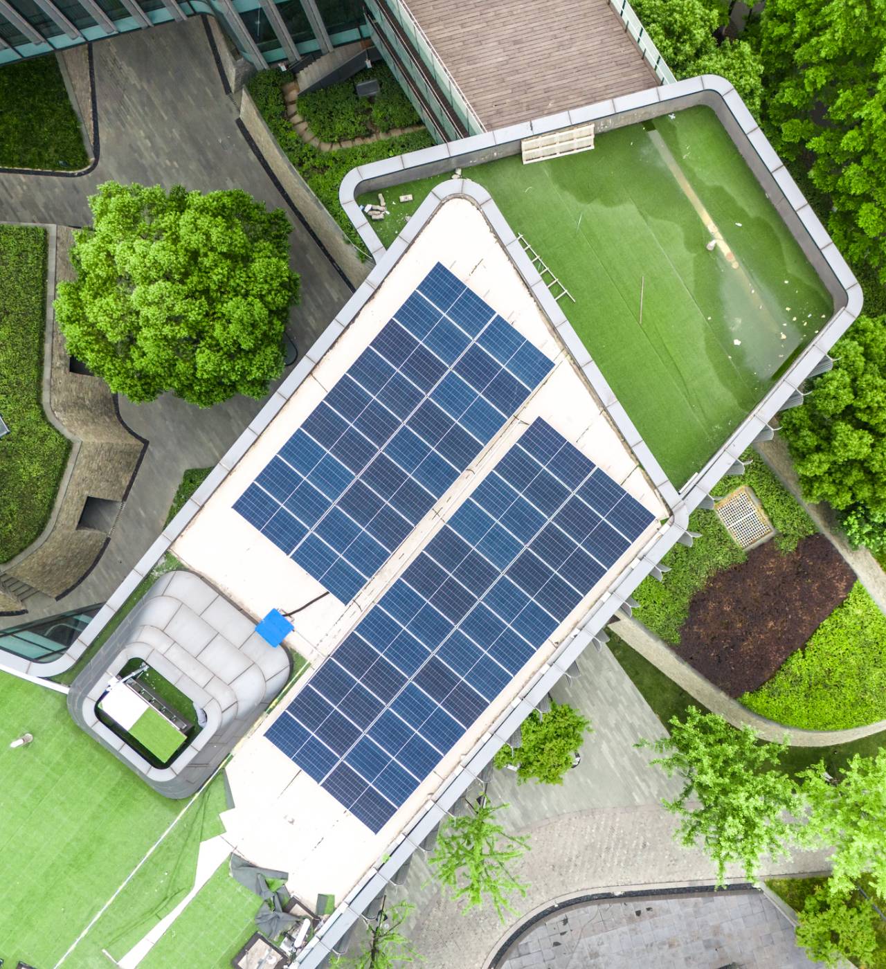Rooftop solar panels with surrounding greenery.
